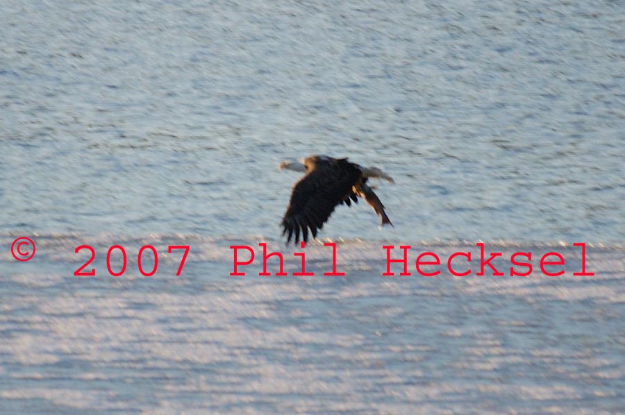  2007 Phil Hecksel